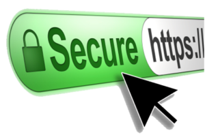 Ryeweb SSL-Store